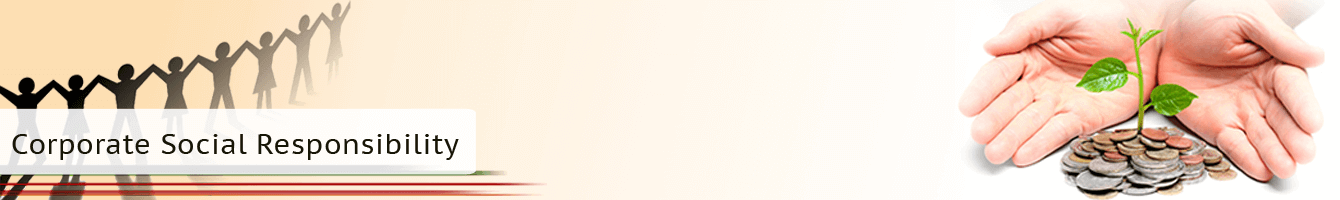 Cover Image for Corporate Social Responsibility
