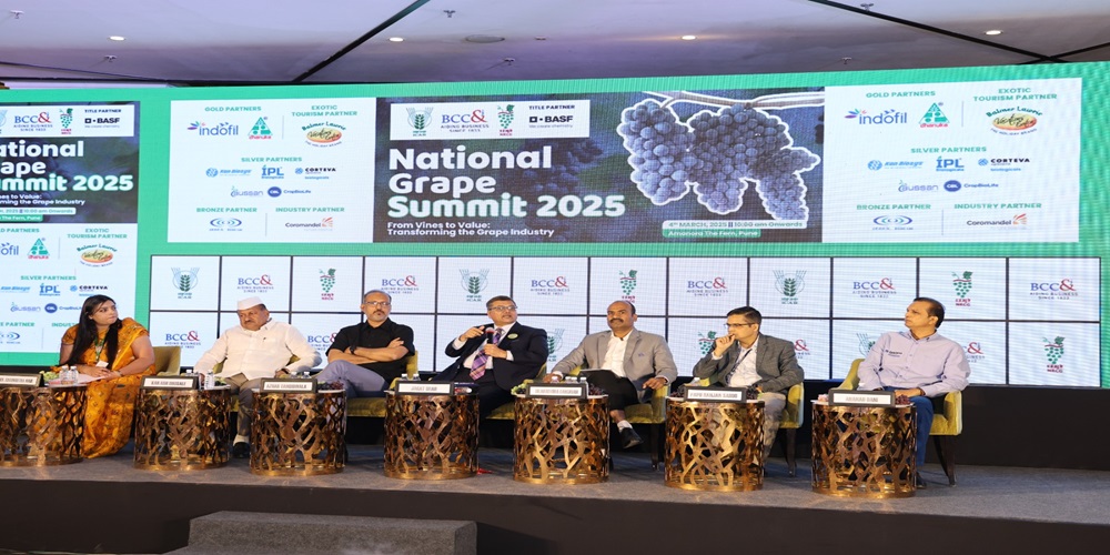 ईसीजीसी लिमिटेड द्वारा 4 मार्च 2025 को पुणे में आयोजित राष्ट्रीय अंगूर शिखर सम्मेलन में कांस्य भागीदार के रूप में सहभागिता की तस्वीर